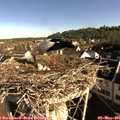 08_30-nest.jpg
