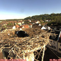 08_35-nest.jpg