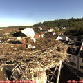 08_40-nest.jpg
