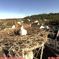 08_55-nest.jpg