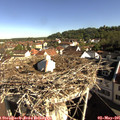 09_00-nest.jpg