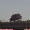 09_05-mast.jpg