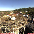 09_05-nest.jpg