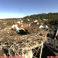 09_10-nest.jpg