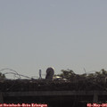 09_15-mast.jpg