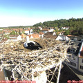 09_15-nest.jpg