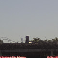 09_20-mast.jpg