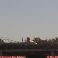 10_00-mast.jpg
