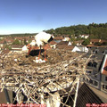 10_25-nest.jpg