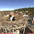 10_35-nest.jpg