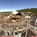 11_05-nest.jpg