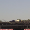 11_15-mast.jpg