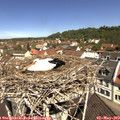 11_20-nest.jpg