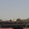 12_00-mast.jpg