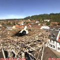 12_05-nest.jpg