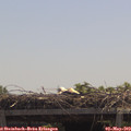 12_25-mast.jpg
