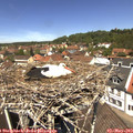12_25-nest.jpg