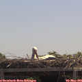 12_30-mast.jpg