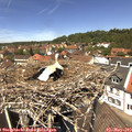 12_55-nest.jpg