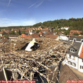 13_00-nest.jpg