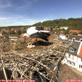 13_35-nest.jpg