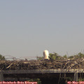 13_50-mast.jpg
