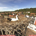 13_55-nest.jpg
