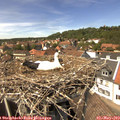 14_05-nest.jpg