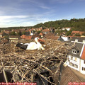 14_10-nest.jpg