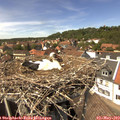 14_15-nest.jpg