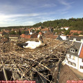 14_25-nest.jpg