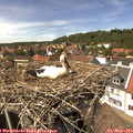14_30-nest.jpg