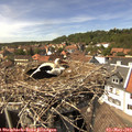 14_45-nest.jpg