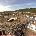 15_00-nest.jpg