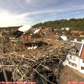 15_15-nest.jpg
