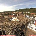 15_25-nest.jpg