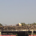 15_35-mast.jpg