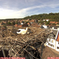 15_35-nest.jpg