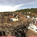 15_45-nest.jpg