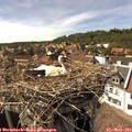 15_55-nest.jpg