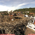 16_00-nest.jpg