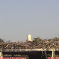 16_10-mast.jpg