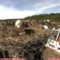 16_20-nest.jpg