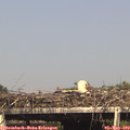 16_25-mast.jpg