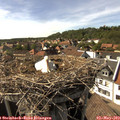 16_25-nest.jpg