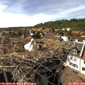 16_30-nest.jpg