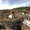 16_35-nest.jpg