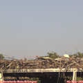 16_40-mast.jpg