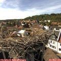 16_40-nest.jpg