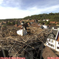 16_45-nest.jpg
